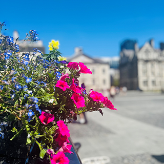 SpCert Graduation Gallery