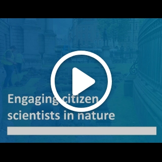 Engaging citizen scientists in nature. Marcus Collier, Assistant Professor in Trinity's School of Natural Sciences, talks about his work.