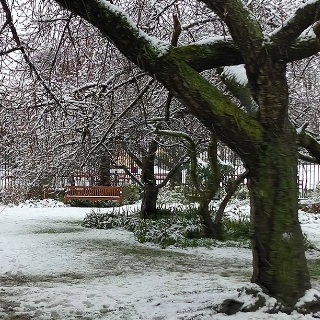 Museum Building in Snow 2
