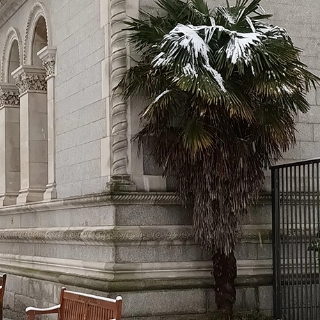 Museum Building in Snow 4