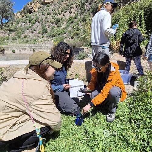 South Spain fieldtrip 8