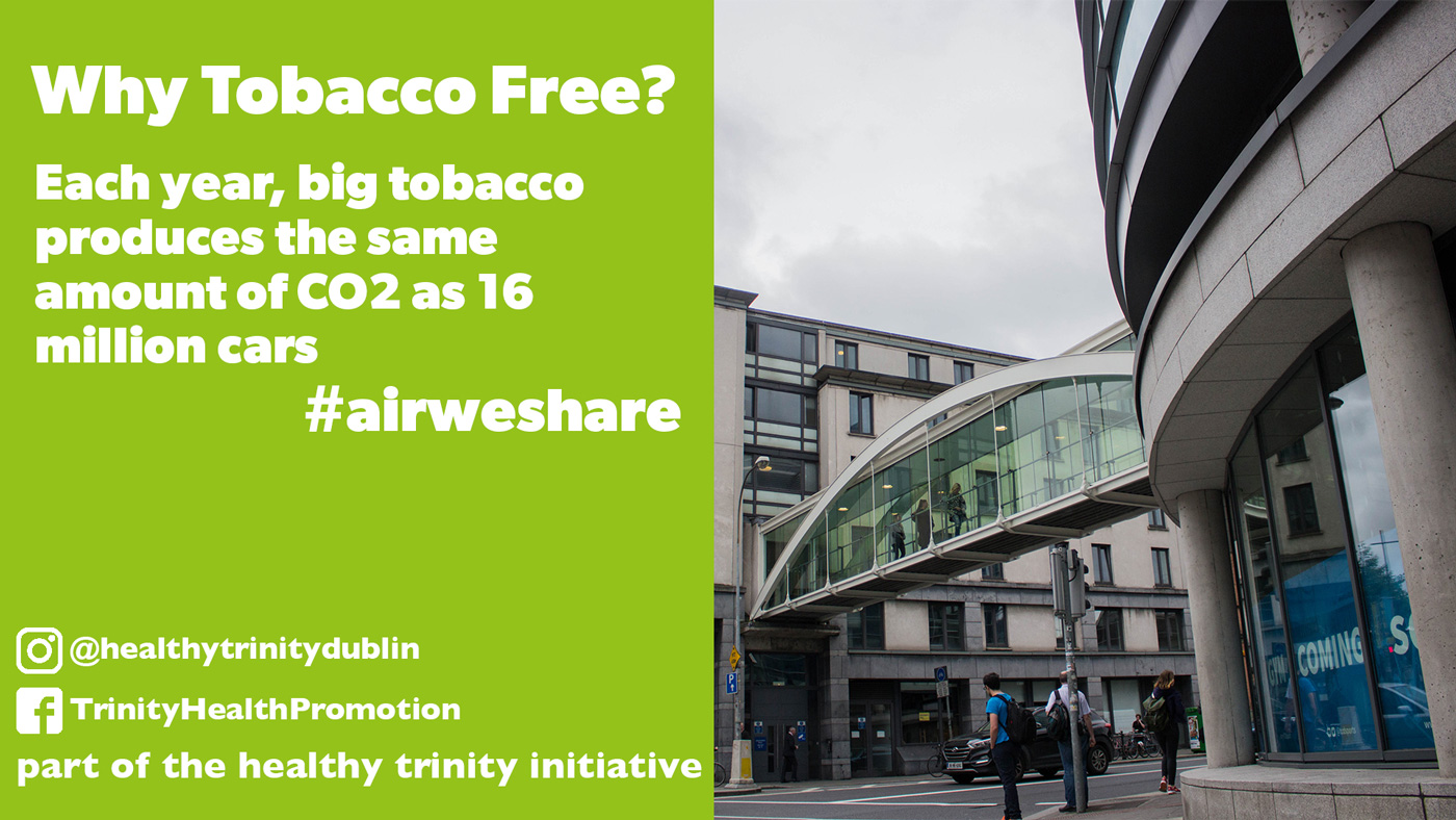 Other Campaigns Summary Download