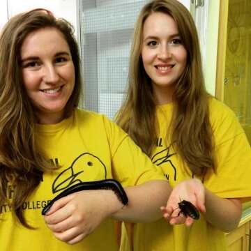 Zoology Museum Gallery 1