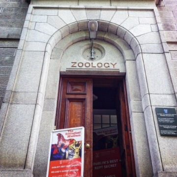 Zoology Museum Gallery 5