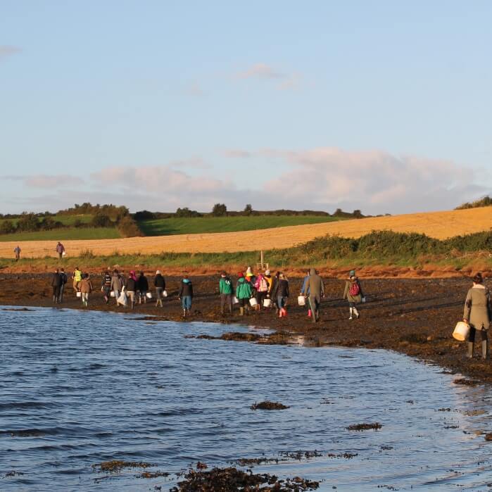 Marine ecology in Portaferry 2